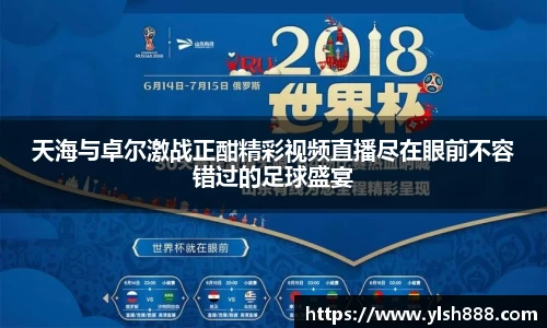 必一天海与卓尔激战正酣精彩视频直播尽在眼前不容错过的足球盛宴
