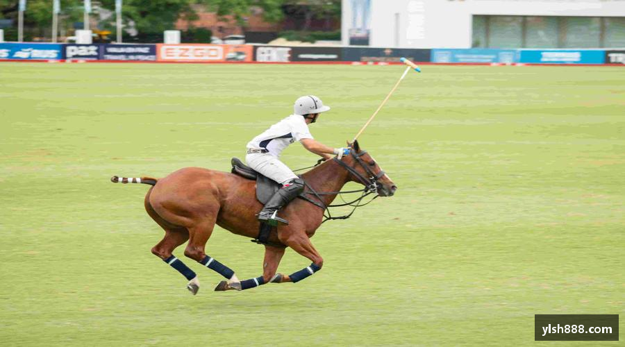 必一·运动(B-Sports)官方网站永不止步，闪耀荣耀！